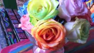 HOW TO Tie Dye Roses  DIY Rainbow Roses and Flowers [upl. by Cosme]