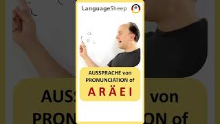 Aussprache der Buchstaben A E I Ä R  German Pronunciation  Немецкое произношение [upl. by Barbabas865]