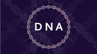 What is DNA and How Does it Work  Basics of DNA [upl. by Adnuhsed]