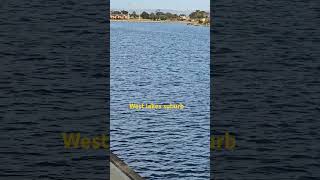 West lakes suburb AdelaideAustralia westlake adelaide australianature austr [upl. by Hsiwhem762]