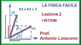 LA FISICA FACILE  Lezione 2  I Vettori [upl. by Idelia739]