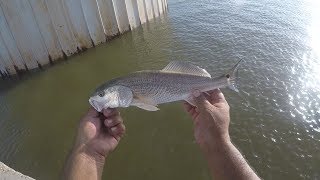 Fishing at the Matagorda Bridge [upl. by Dorine]