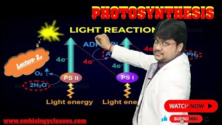 Photosynthesis Light Reaction  Class XI amp NEET Lecture2 [upl. by Etnahsa341]