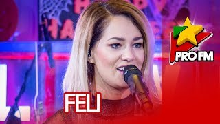 FELI  Frunze cad  ProFM LIVE Session [upl. by Adnohsak]