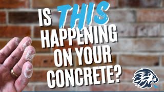 Understanding Efflorescence on Concrete The Silent Killer of Your Property  EXPLAINED 😲🧱 [upl. by Arabele]