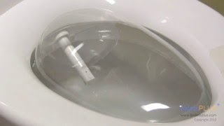 How Does a Bidet Work  bidetsPLUScom [upl. by Iviv]