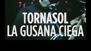 La gusana ciegaTornasol Letra [upl. by Osrock]