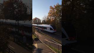 S6 nach Zell im Wiesental in Riehen sbb cff ffs sbahn train zug trainspotting shorts yt [upl. by Akkahs687]