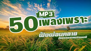 รวมเพลง 50 เพลงเพราะ MP3 ฟังผ่อนคลาย [upl. by Liek665]