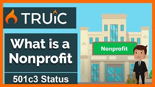 What is a Nonprofit Corporation  501c3 Status [upl. by Cogn777]