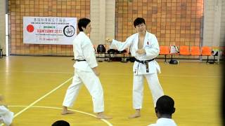 Shotokan Kata  Chinte teach by Naka Tatsuya sensei [upl. by Yelsew638]