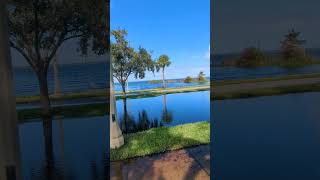 Great Blue Heron by Cabbage Palm Lake Monroe Limpkin on Dry Riverwalk amp Flooded Seminole Boulevard [upl. by Oiceladni]