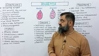 Symptoms of Anaemia English medium profmasoodfuzail [upl. by Grane639]