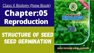 Ch 5 Reproduction  Structure of seed  seed germination  Class 10 new biology book  Sindh board [upl. by Arual]