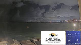 Waikiki Aquarium South Shore Surf Cam [upl. by Anikahs222]