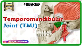 Anatomy of Temporomandibular joint  TMJ  Animation Gross Anatomy medical animations [upl. by Neerahs]