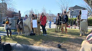 Heres why Thanksgiving is a day of mourning for indigenous people of Massachusetts [upl. by Ahsinwad]