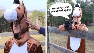 If Horses Chose Their Humans Equestrian Comedy 😂 [upl. by Robison]