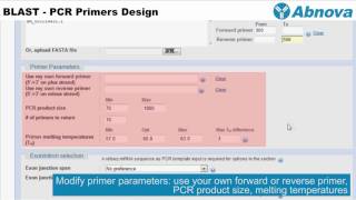 BLAST  PCR Primers Design [upl. by Acessej]