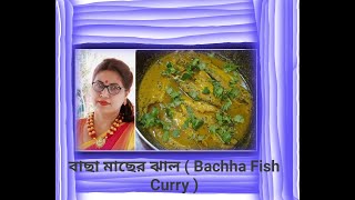 বাছা মাছের ঝাল  Bachha Macher Jhal  Bachha Fish Curry [upl. by Profant]