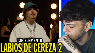 REACCIÓN Labios de Cereza 2  Video Oficial  T3R Elemento  DEL Records 2024 [upl. by Waldos573]