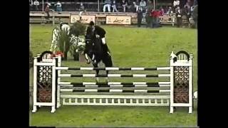 World Record Puissance Show Jumping Franke Sloothaak [upl. by Doolittle365]