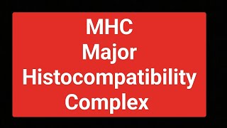 MHC complete notes [upl. by Aid]