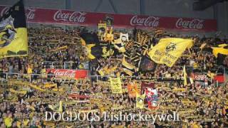 Krefeld Pinguine Die Besten Fans der Welt [upl. by Chang]