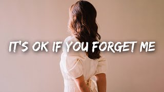 Astrid S  It´s Ok If You Forget Me Lyrics [upl. by Anoel]