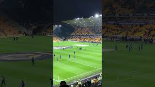 Wolves vs Crystal Palace [upl. by Skelton77]