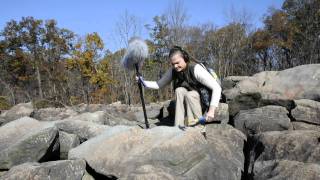 The Magical Sounds of Ringing Rocks [upl. by Mlawsky]