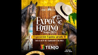 EXPO EQUINO TENJO  PASOPISTA  día 3 [upl. by Yticilef]