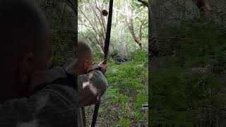 Rinehart 3d Woodland Boar Target  Keith Hodgkinson JPS Hybrid Longbow [upl. by Anderea]