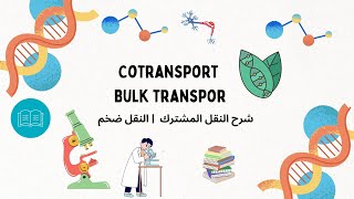 Cotransport  Bulk transport شرح النقل المشترك  النقل ضخم [upl. by Lyon]