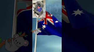 Koalas interesting 10 Facts for Kids Educational Video Australias Beloved Marsupials koala [upl. by Ayekehs]