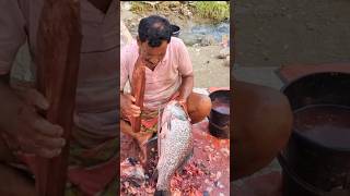 Big Fish Cutting Skills seafish fish shorts [upl. by Seyer821]