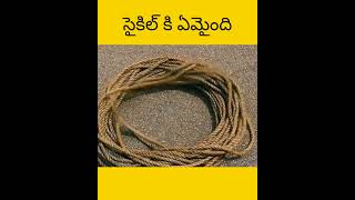 Vellu cycle tho assalu em cheystharu telugu facts amazingfacts [upl. by Celia936]