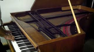 Beautiful BÖSENDORFER grand piano [upl. by Ellednahc]