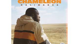 Daliwonga – Chameleon Ft Kabza De Small amp DJ Maphorisa [upl. by Nirac]