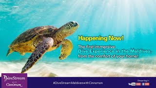 Divestream Episode One  Discover the House Reef at Ellaidhoo Maldives by Cinnamon [upl. by Erna]