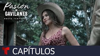 Pasión de Gavilanes Nueva Temporada  Capítulo 8  Telemundo [upl. by Frodeen860]