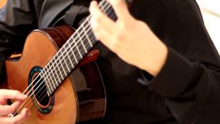 Patrik Kleemola plays Leo Brouwer´s Estudio 18 Estudios sencillos [upl. by Nealon]