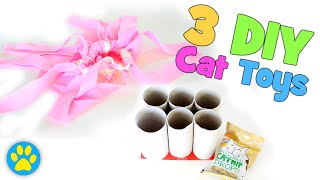 3 Super Simple DIY Cat Toys [upl. by Seif39]