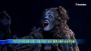 2014 뮤지컬 캣츠 미디어콜 하이라이트 Musical Cats [upl. by Nhguahs]