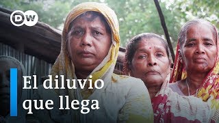 Refugiados climáticos en Bangladés  DW Documental [upl. by Allx]