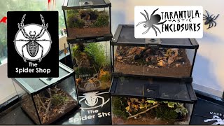 Natural tarantula enclosure setups in the new spidershop glass enclosure range [upl. by Dodie]