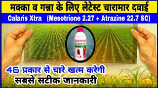 मक्का व गन्ने का लेटेस्ट खरपतवार नाशक  Syngenta Calaris Xtra Herbicide  Makka me kharpatwar nashak [upl. by Netsyrk]