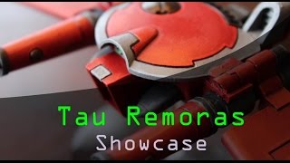 Showcase Tau Remoras [upl. by Sutsuj]