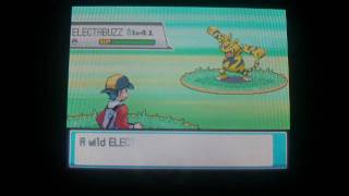 How to Catch Electabuzz  Pokemon Heart Gold and Soul Silver [upl. by Annaohj]