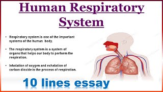 10 lines on Human Respiratory System10 lines essay on Human Respiratory System [upl. by Latnahs]